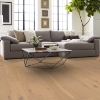 Picture of Shaw Builder - Elegance Oak Champagne