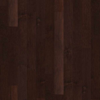 Picture of Shaw Builder - Gulf Breeze Conway