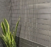 Picture of Adex USA - Horizon Stripes 2 Lines Glossy Sable