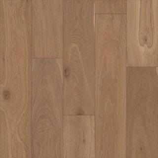 Picture of Shaw Builder - Perspectives Watercolor