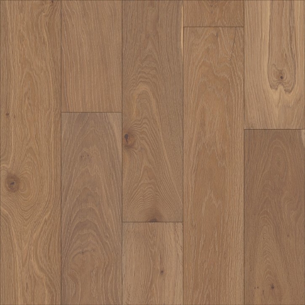 Picture of Shaw Builder - Perspectives Watercolor