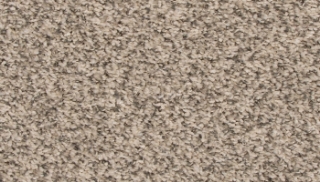 Picture of Mohawk - EverStrand Revive Silver Dollar