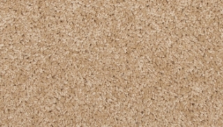 Picture of Mohawk - EverStrand Revive Sugar Cookie