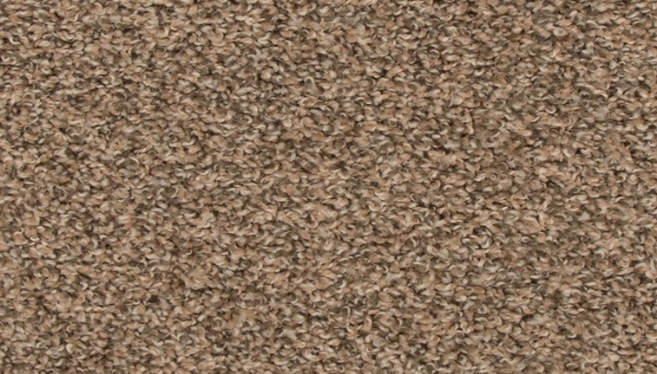 Picture of Mohawk - EverStrand Revive Flax Seed