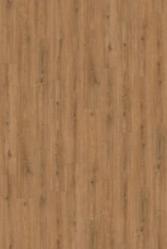 Picture of InHaus - Landmark Norfolk