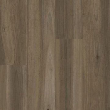 Picture of Armstrong - American Charm 6 Northhamptonshire Bear Brown