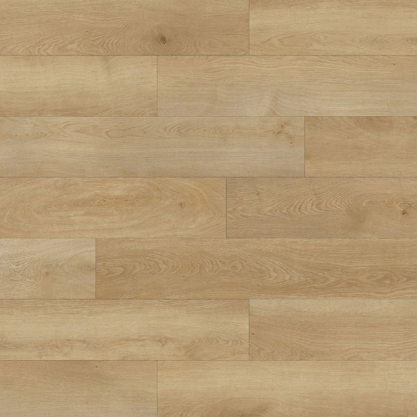 Picture of Durato - V-Evo XL Oat