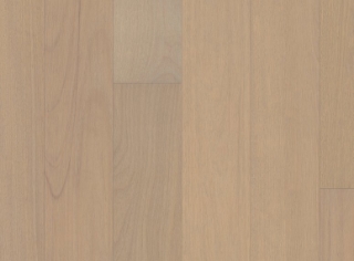 Picture of Anderson - Brasilia Campo