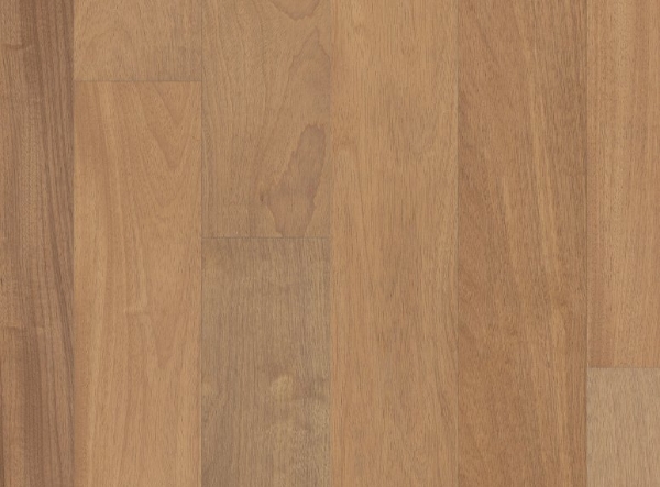 Picture of Anderson - Brasilia Samba