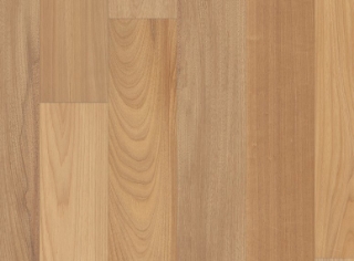 Picture of Anderson - Brasilia Ipanema