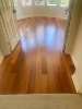 Picture of Garrison Collection - Exotics Brazilian Cherry