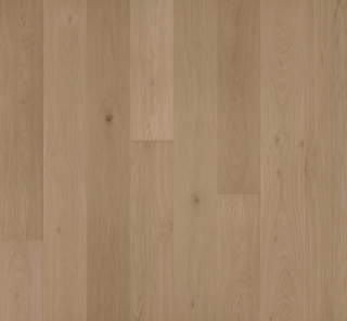 Picture of Allora Floors - 9-1/2 Wide Doma
