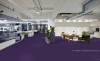 Picture of Pentz - Colorburst Tile Royal Purple