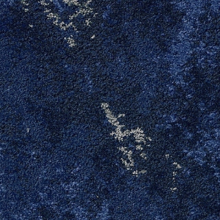 Picture of Shaw Contract - Beyond Tile Coast