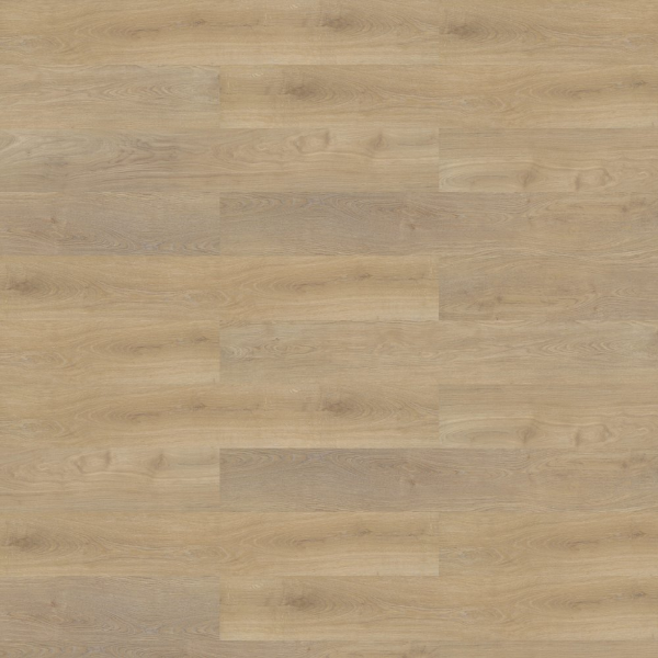 Picture of Shaw Contract - Branching Out Coretec 12MIL Prairie Oak