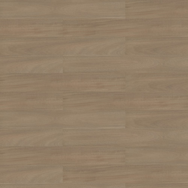 Picture of Shaw Contract - Branching Out Coretec 12MIL Zion Oak