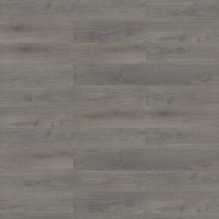 Picture of Shaw Contract - Branching Out Coretec 12MIL Traverse Oak