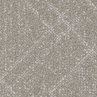 Picture of Shaw Contract - Collective IV Beige