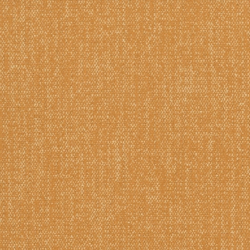 Picture of Shaw Contract - Color Frame Tile Mojo