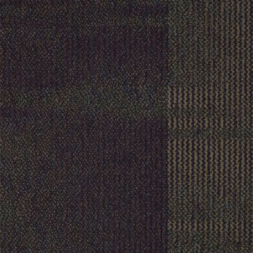 Picture of Shaw Contract - Color Play Black To Business