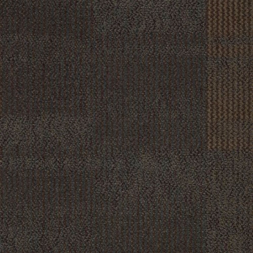 Picture of Shaw Contract - Color Play Copper Frost