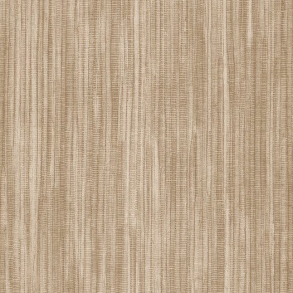 Picture of Shaw Contract - Colorlink 5.0 Evoke