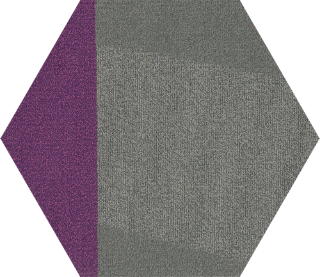 Picture of Shaw Contract - Contact Hexagon Tile Brilliant Proposal