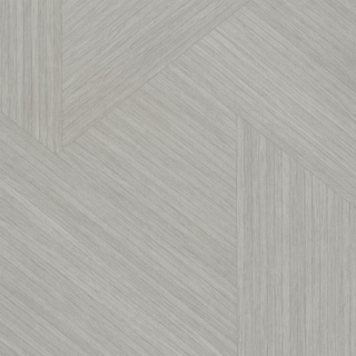 Picture of Shaw Contract - Crossing Paths Gesso