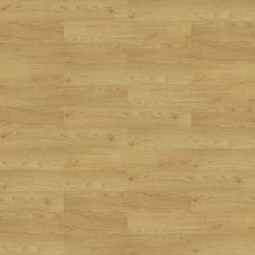 Picture of Shaw Contract - Uncommon Ground 6 Gallery Maple