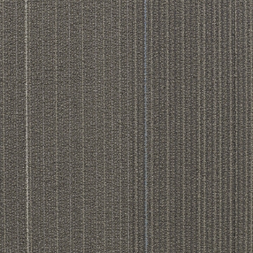 Picture of Shaw Contract - Disperse Climate