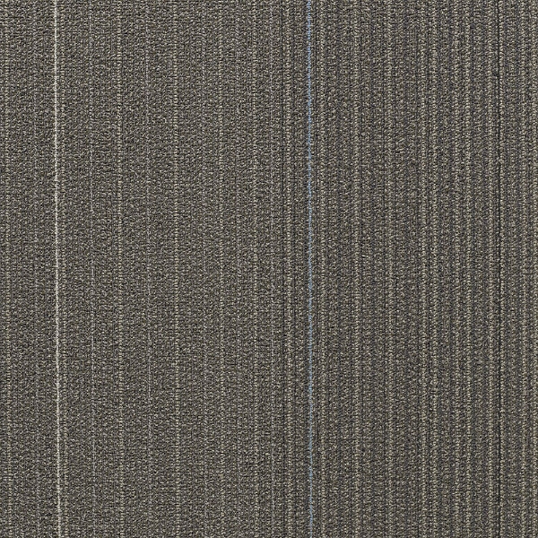 Picture of Shaw Contract - Disperse Climate