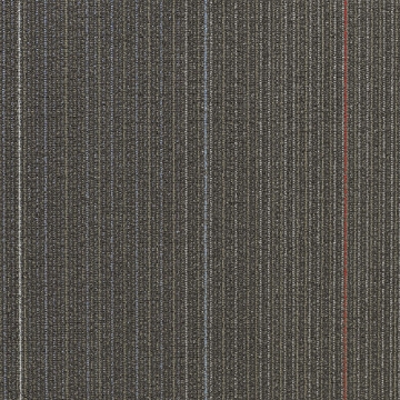 Picture of Shaw Contract - Disperse Routes