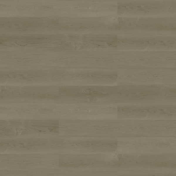 Picture of Shaw Contract - Grain / Pigment Fog