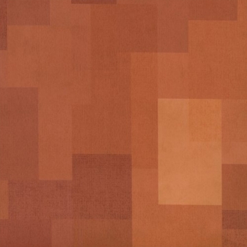 Picture of Shaw Contract - Inspire 5.0mm Orange