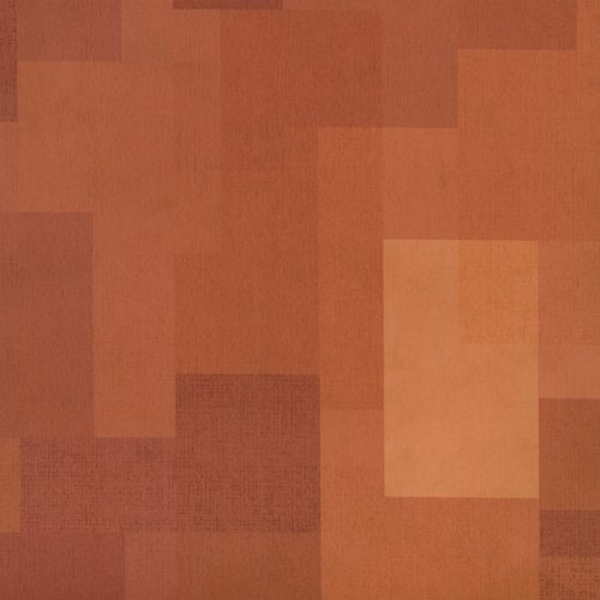 Picture of Shaw Contract - Inspire 5.0mm Orange