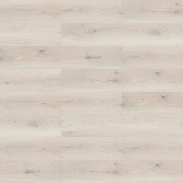 Picture of Shaw Contract - Inlet II Path