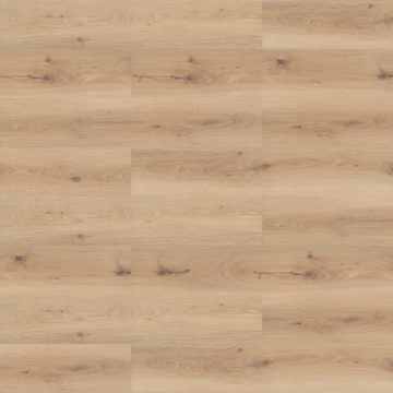 Picture of Shaw Contract - Inlet II Dune