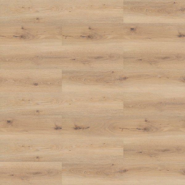 Picture of Shaw Contract - Inlet II Dune