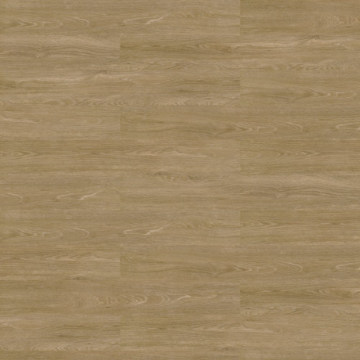 Picture of Shaw Contract - Terrain II Rigid Core 20 MIL 7 x 48 Trail