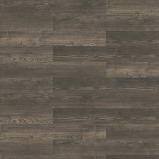 Picture of Shaw Contract - Terrain II Rigid Core 20 MIL 7 x 48 Thicket