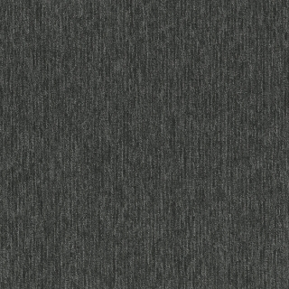 Picture of Pentz - Fast Break Alley-oop