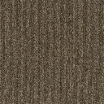 Picture of Pentz - Fast Break Coast To Coast