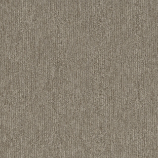 Picture of Pentz - Fast Break Dunk Shot