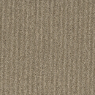 Picture of Pentz - Fast Break Lay Up