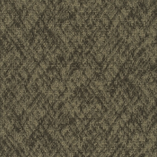 Picture of Pentz - Homepage Tile Cookies