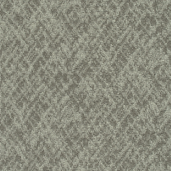 Picture of Pentz - Homepage Tile Meta Tag