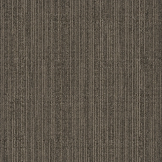 Picture of Pentz - Influencer Tile Network