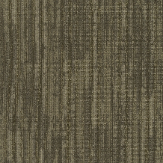 Picture of Pentz - Podcast Tile Cookies