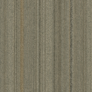 Picture of Pentz - Revival Impact