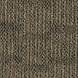 Picture of Pentz - Revolution Revolt